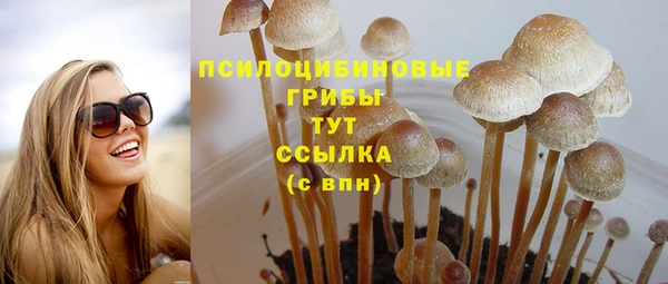 бутират Алексеевка