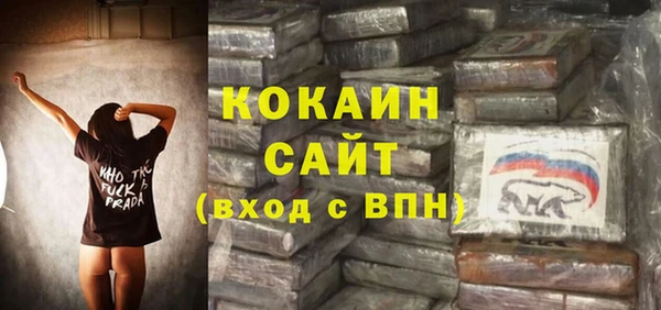 амф Алзамай